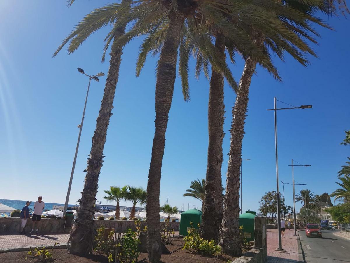 Bahamas Beside The Park And 300m To The Beach * Пуэрто Рико